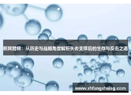 断其臂膀：从历史与战略角度解析失去支撑后的生存与反击之道
